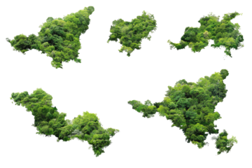 Green island shapes on black background