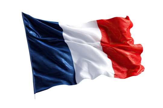 French flag waving in the wind (2)