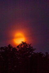 A brilliant golden sun dips below shadowy treetops, casting vibrant colors across the twilight sky