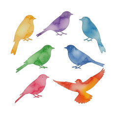 Collection of colorful watercolor bird silhouettes in various poses