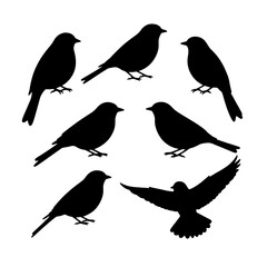 Collection of beautiful birds silhouettes in different poses isolated on white background