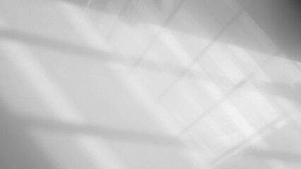 Background shadow white light wall floor backdrop overlay leaf mockup summer sunight overlay nature on room cement abstract blur muckup effect grey minimal platform for presentation product