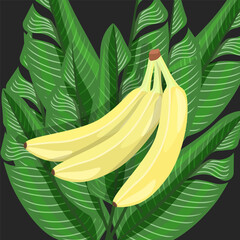 Three bananas are lying on leaves on a black background.Vector illustration .