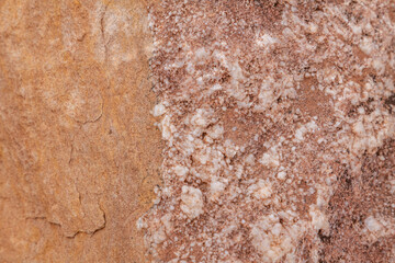Chert  is a sedimentary rock. Kaibab Limestone / Kaibab Formation (Cisuralian). Harrisburg Member or Fossil Mountain Member ? Desert View Watchtower, Grand Canyon National Park.  Arizona
