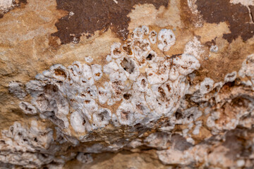 Chert  is a sedimentary rock. Kaibab Limestone / Kaibab Formation (Cisuralian). Harrisburg Member or Fossil Mountain Member ? Desert View Watchtower, Grand Canyon National Park.  Arizona

