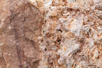 Chert  is a sedimentary rock. Kaibab Limestone / Kaibab Formation (Cisuralian). Harrisburg Member or Fossil Mountain Member ? Desert View Watchtower, Grand Canyon National Park.  Arizona
