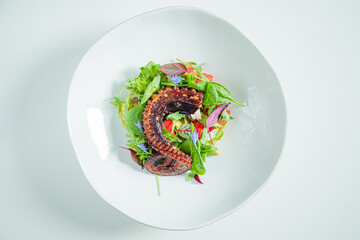 Grilled octopus rests elegantly on a bed of colorful greens and fresh herbs, inviting appetites