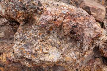 Chert  is a sedimentary rock. Kaibab Limestone / Kaibab Formation (Cisuralian). Harrisburg Member or Fossil Mountain Member ? Desert View Watchtower, Grand Canyon National Park.  Arizona
