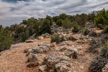 Chert  is a sedimentary rock. Kaibab Limestone / Kaibab Formation (Cisuralian). Harrisburg Member...