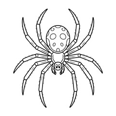 A spider illustration vector style coloring page 