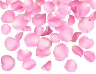 Soft Pink Petals in Mid-Air Fall, High-Quality PNG Clipart for Wedding and Love Themes.