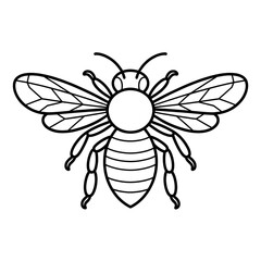 A honeybee illustration vector style coloring page 