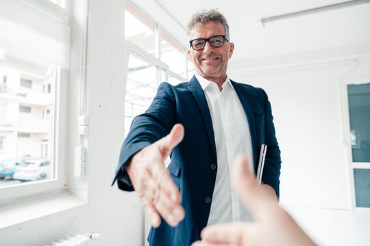 Happy businessman handshaking with colleague in office
