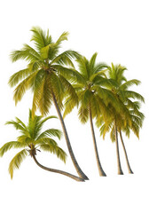Ai generated image of a cluster of palm trees isolated on a transparent background