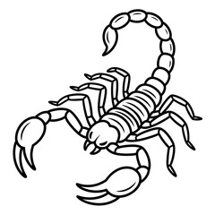 A scorpion illustration vector style coloring page 