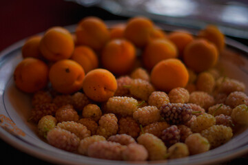 A bowl filled with fresh, ripe apricots and white mulberries, showcasing a delicious summer fruit assortment.