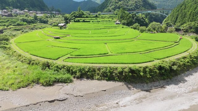 Aerial View of Aragi Island Terraced Rice Fields &ndash; One of Japan&rsquo;s Top 100 Rice Terraces in Shimizu, Aridagawa Town, Wakayama Prefecture　日本の棚田百選「あらぎ島の空撮」和歌山県有田川町清水