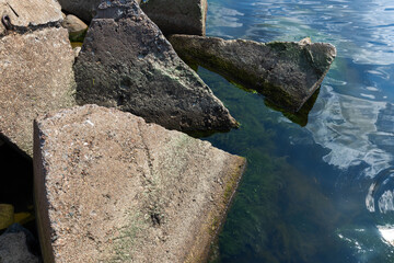Triangle shaped concrete blocks along a shoreline with algae-covered stones