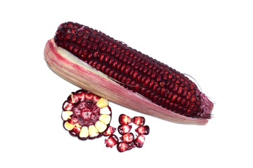 Fresh siam ruby queen purple corn isolated on a white background. Siam ruby queen sweet corn with anthocyanin, high helps fight free radicals.