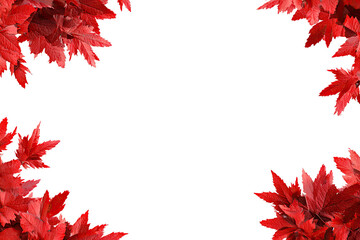 Red maple leaves frame