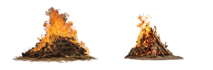 Two vibrant campfires (1)