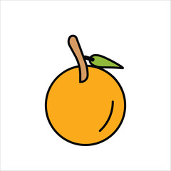 ORANGE FRUIT VECTOR ICON LINE TEMPLATE