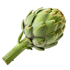 Fototapeta premium A whole single artichoke bud isolated on a transparent background