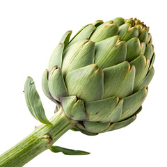 Obraz premium A whole single artichoke bud isolated on a transparent background
