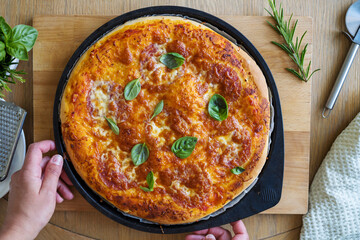 Homemade cheese pizza, home baking, healthy food