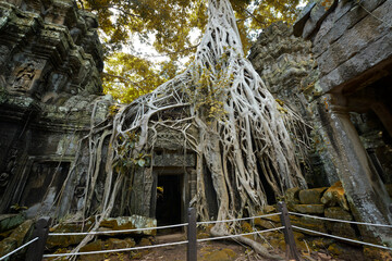 The Temple Of Angkor Wat In Cambodia