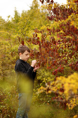 Boy observing nature in autumn forest.