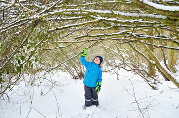 A toddler boy standing in deep snow  and reaching up tree branches.