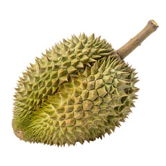 A whole single durian fruit isolated on a transparent background