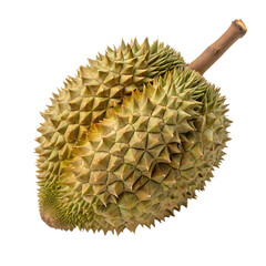 A whole single durian fruit isolated on a transparent background