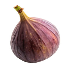 A whole single fig fruit isolated on a transparent background