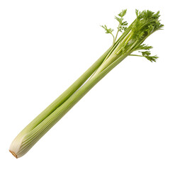 A whole single lemongrass stalk isolated on a transparent background