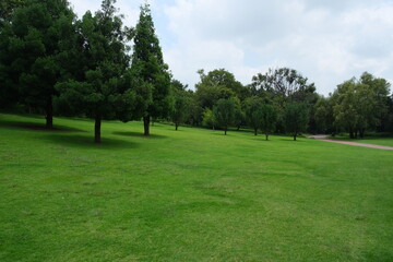 Serene Grassland at Walter Sisulu National Botanical Garden