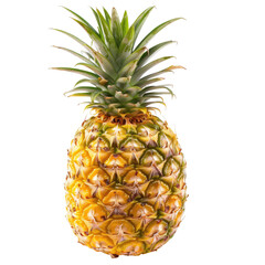 Close-up of a ripe pineapple (2)