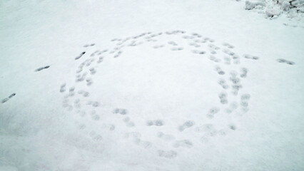 Child’s Small Footprints Drawing Circle on Snow-Covered Ground