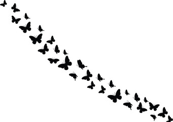 Swarm of Butterflies in Flight Silhouette, Creating a Graceful and Dynamic Pattern, Symbolizing Freedom, Transformation, and Nature's Beauty, Ideal for Design and Artistic Projects.