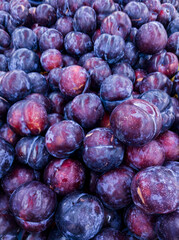 Plum Macro on Supermarket Display – Ripe Stone Fruit Isolated for Recipe Book or Flyer