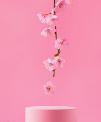 pink podium display. Sakura pink flower falling. Cosmetic or beauty product promotion step floral, pastel pedestal. Abstract minimal advertise.