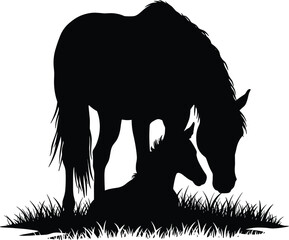 Mare and Foal Horse Silhouettes Vector Illustration, Mother and Baby Equine Bond, Farm Animals, Wildlife, Nature, Black and White.