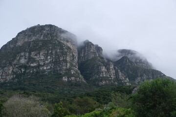 Majestic Table Mountain in Kirstenbosch National Botanical Garden