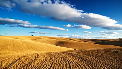 Fototapeta premium Golden hills under a vibrant blue sky