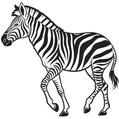 Fototapeta premium Zebra silhouette on white background