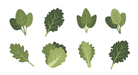 Fresh Greens Array: An enticing collection of vibrant green leafy vegetables, perfect for culinary and health-conscious themes, showcasing nature's nutritious bounty.