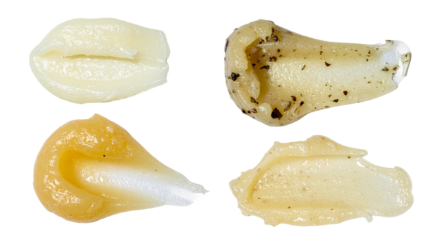 Discover rich textures of luxurious cosmetic creams and natural skincare balms perfect for beauty promotions