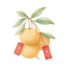 Watercolor illustration of Kumquats with Red Tags and leaves