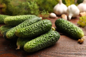 Making pickles. Fresh cucumbers and spices on wooden table, closeup
